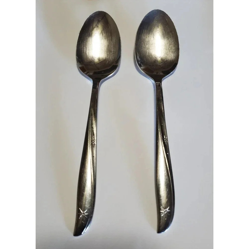 2 Pcs Twin Star by Oneida Community Stainless Steel Solid Large Serving Spoon